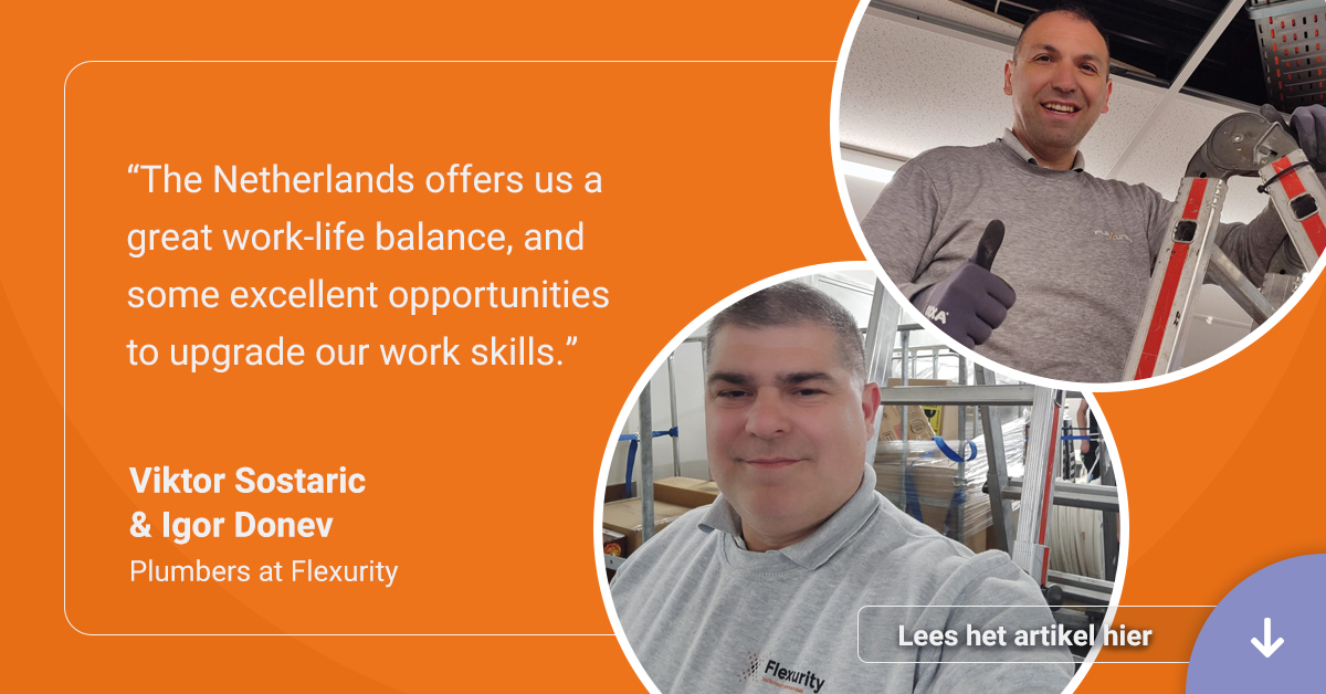 Article Viktor and Igor about Flexurity